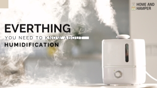 Everything You Need to Know About Humidification