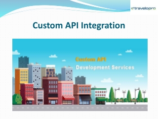 Custom API Integration