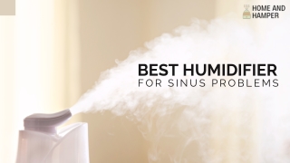 Best Humidifier for Sinus Problems