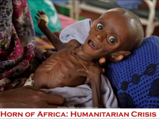 2011 Horn of Africa - Humanitarian crisis