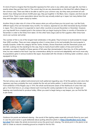 A Quick Guide To Common Koi Fish Diseases