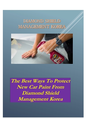 The Best Ways to Protect New Car Paint from Diamond Shield Management Korea