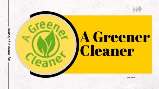 Wet Dry Cleaning Saint Johns - A Greener Cleaner