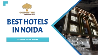 One of the best hotels in Noida - Golden Tree Hotel