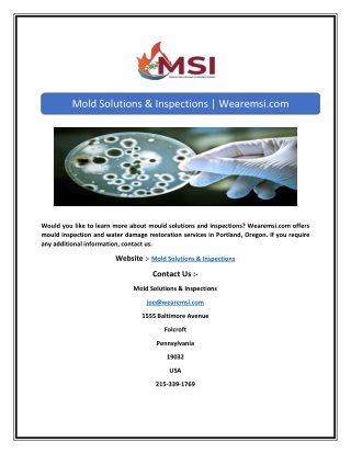 Mold Inspection Philadelphia | Wearemsi.com