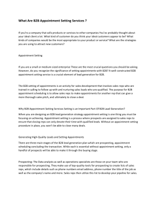 What Are B2B Appointment Setting Services