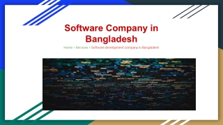 Software Company in Bangladesh - Semicolon IT Solutions