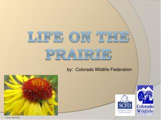 Life on the Prairie