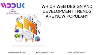 WHICH WEB DESIGN AND DEVELOPMENT TRENDS ARE NOW POPULAR_