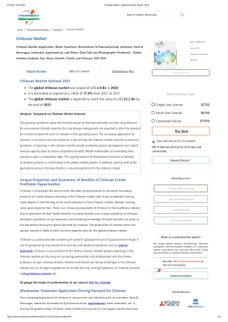 Chitosan Market | Global Industry Report, 2031