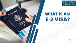 What Is An E-2 Visa