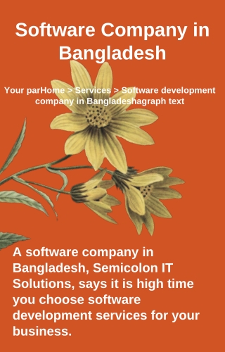 Software Company in Bangladesh - Semicolon IT Solutions