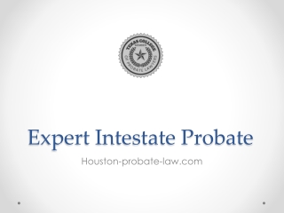 Expert Intestate Probate - Houston-probate-law.com