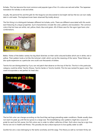 Koi 101 - Selecting A Japanese Koi For Sale