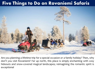 5 Things to Do on Rovaniemi Safaris