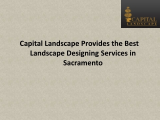 Capital Landscape