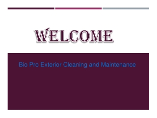 Best Cleaning Service in Batchley