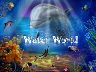 Water World (2)