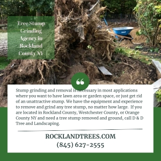 Tree Stump Grinding Agency in Rockland County NY