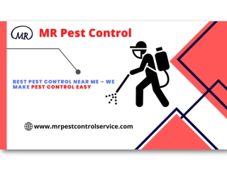 Best pest control near me