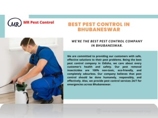 Best pest control in Bhubaneswar