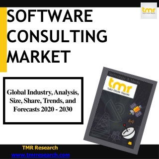 Software Consulting | Quick Pace Of Globalization Is Likewise A Fueling Factor