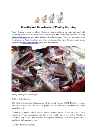 Benefits and Drawbacks of Poultry Farming