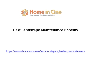 Best Landscape Maintenance Phoenix