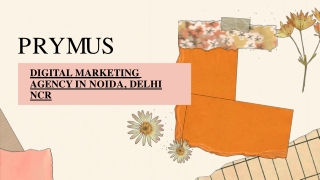 Effective Digital Marketing Strategies for Businesses across a Range of Sectors