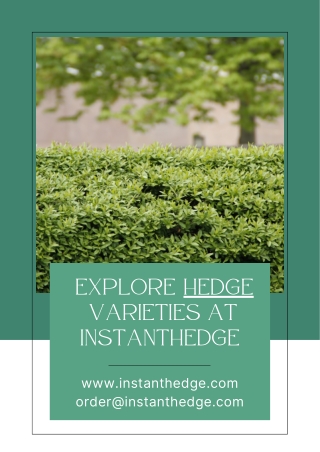InstantHedge - The Perfect Hedge for Every Garden