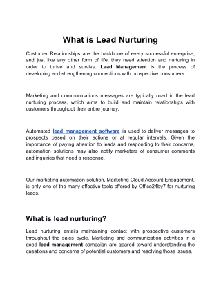 What is Lead Nurturing