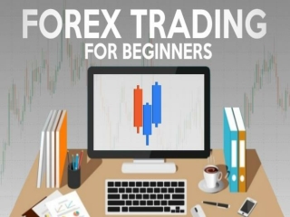 Most Important  Things In Forex Trading