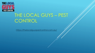 Termite Control Adelaide | Thelocalguyspestcontrol.com.au