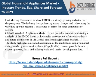 Global Household Appliances Market pdf