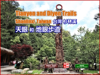 Tianyen & Diyen Trails, Shanlinxi, Taiwan (台灣 杉林溪 天眼和地眼步道)