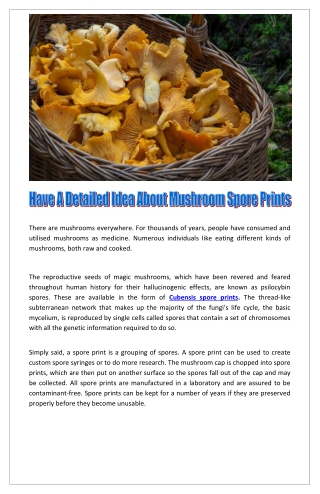 Have A Detailed Idea About Mushroom Spore Prints
