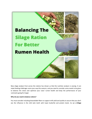 balancing the silage ration for better rumen health