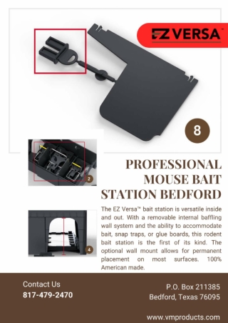 Professional mouse bait station bedford