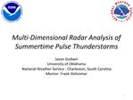 Multi-Dimensional Radar Analysis of Summertime Pulse Thunderstorms