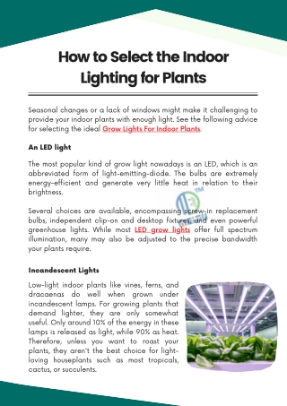 How to Select the Indoor Lighting for Plants