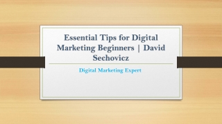 Essential Tips for Digital Marketing Beginners | David Sechovicz