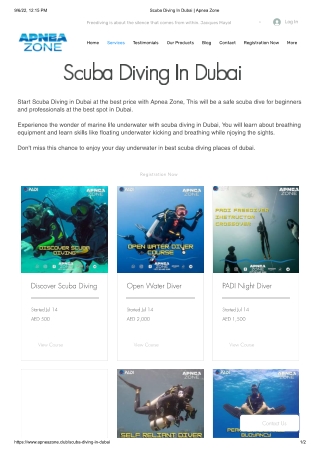 Enjoy your day Scuba diving in Dubai | Apneazone