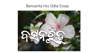 Bansanta ritu Odia Essay