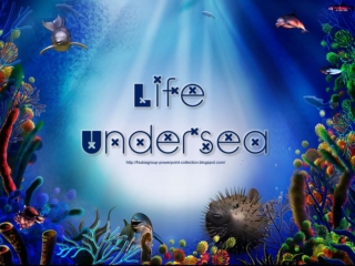 Life Under Sea