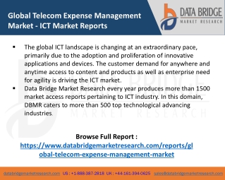 Global Telecom Expense Management Market Size