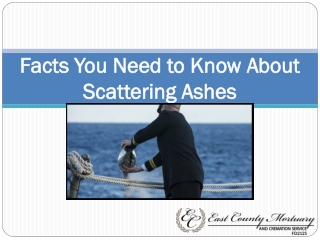 Facts You Need to Know About Scattering Ashes