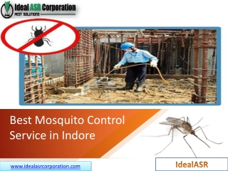 Best Mosquito Control Service in Indore