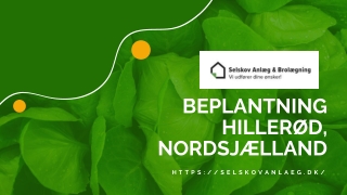 Beplantning Hillerød, Nordsjælland