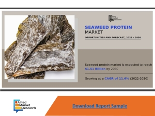 Seaweed Protein Market