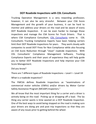 DOT Roadside Inspections with CDL Consultants